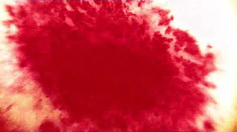 Thumbnail for False Feet - Pandemia