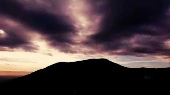 Thumbnail for False Feet - DAT