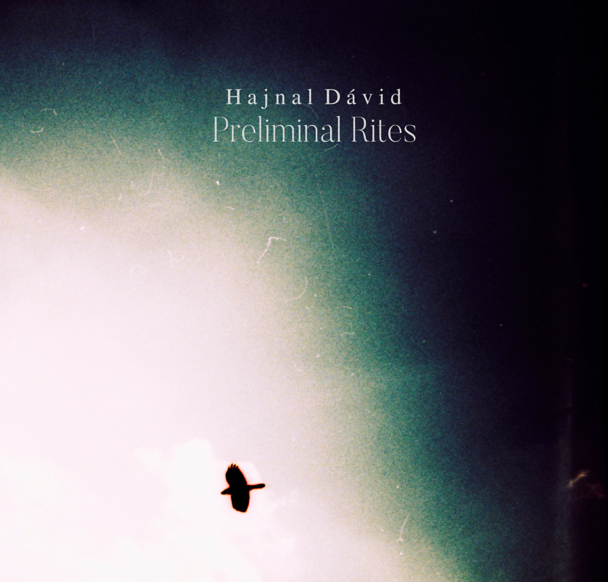 Thumbnail for Preliminal Rites